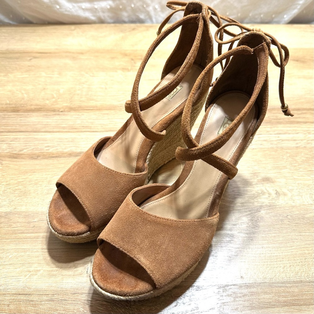 Ugg Reagan Chestnut Suede Strappy Platform Wedge Sandal